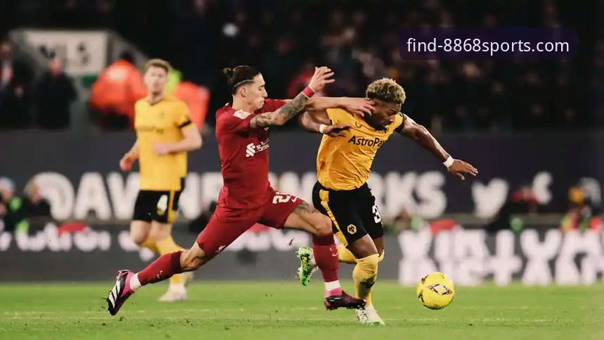 从狼队vs利物浦复盘，学习观看体育官网活动的实用指南